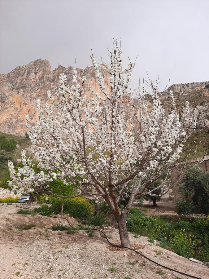 Cortijo El Chorreadero En Parque Natural Sierra De Cazorla Los Rosales  Buitenkant foto