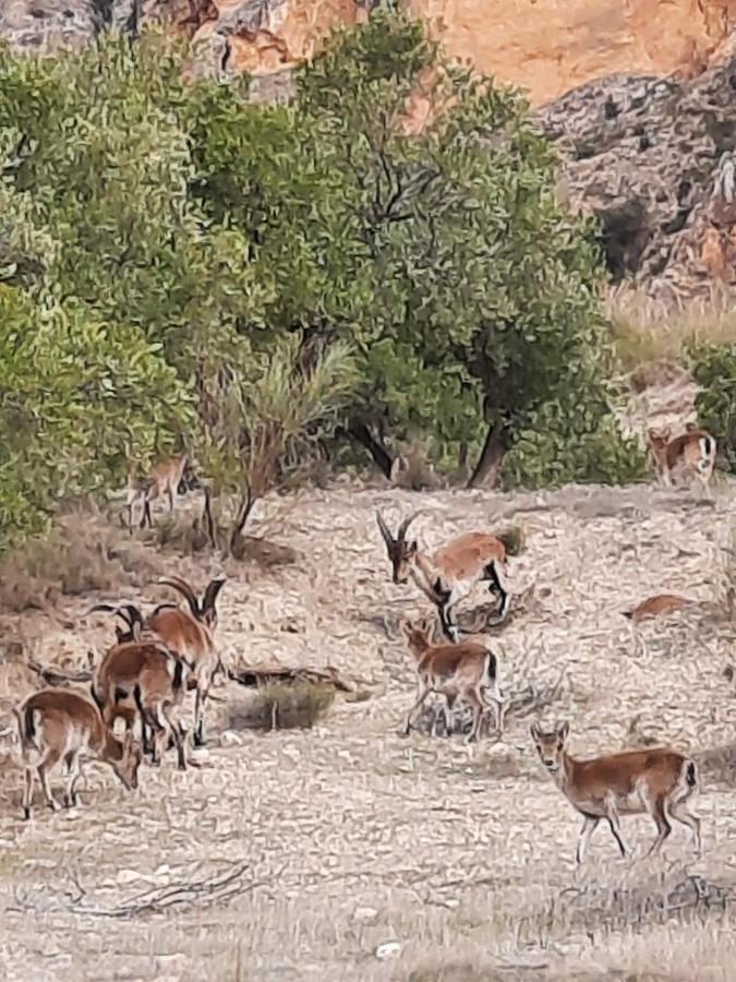 Cortijo El Chorreadero En Parque Natural Sierra De Cazorla Los Rosales  Buitenkant foto