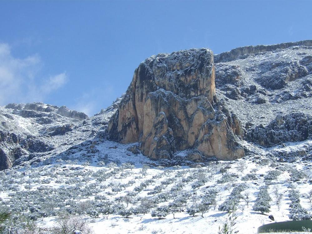 Cortijo El Chorreadero En Parque Natural Sierra De Cazorla Los Rosales  Buitenkant foto